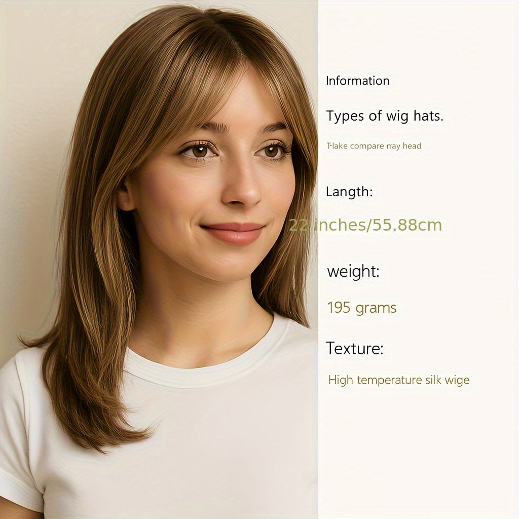 22 Inch Brown Layered Straight Wig with Middle Part Natural Look Synthetic Hair Wig for Women, Soft & Lightweight, Daily Or Party Use